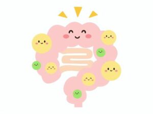 腸内環境のイラスト